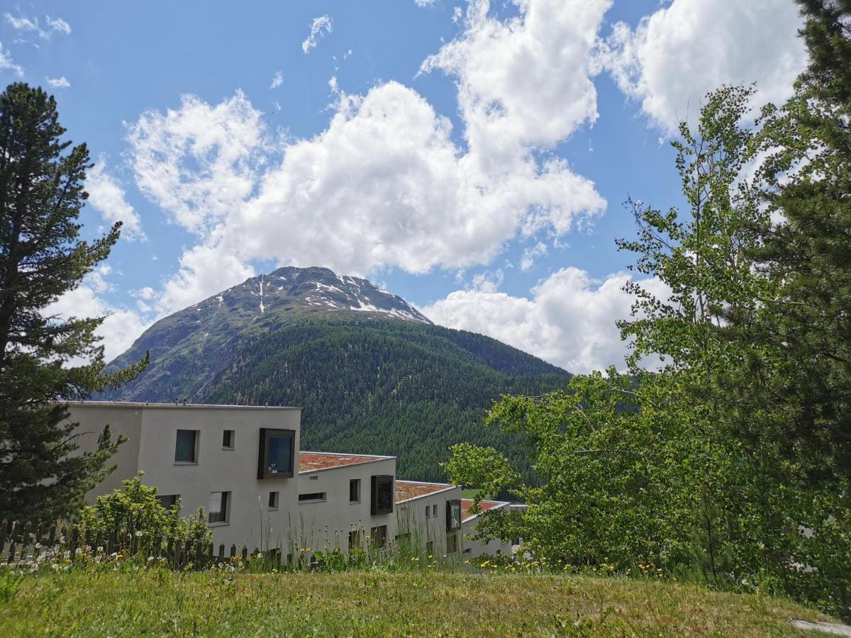 Ferienwohnung Pontresina - Chesa Andrea - Gartensitzplatz Exterior foto